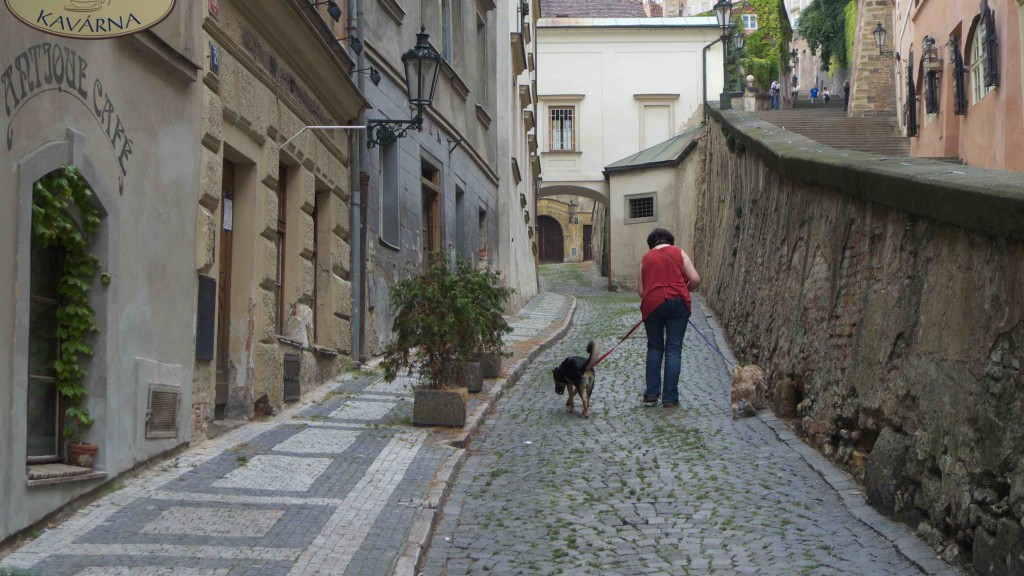 The Street of Praha